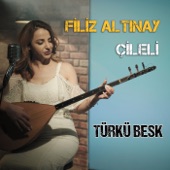 Çileli (Türkü Besk) artwork