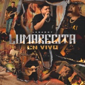 Lumbrecita (En Vivo) artwork