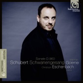 Schubert: Schwanengesang, D. 960 artwork