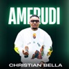 Amerudi - Single