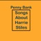 Harry Styles Went To Marriage Counseling - Penny Bank lyrics