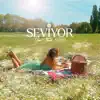 Seviyor - Single album lyrics, reviews, download