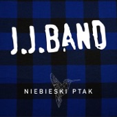 Niebieski Ptak (feat. Jan Gałach & Karolina Tuz) artwork