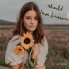 Should Have Known - Single