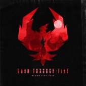 Blood Fire Pain artwork