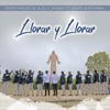 Llorar y Llorar (feat. Grupo Quintanna) - Single