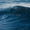 Stranded Thoughts - Single