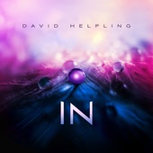 David Helpling - Only What's Been Taken