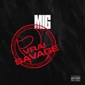 Vrai Savage artwork