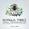 Roxana - The Remixes Part 3 - Single album lyrics, reviews, download