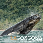 La Gorgona artwork