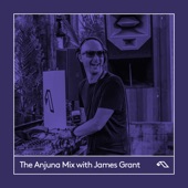 The Anjuna Mix with James Grant (DJ Mix) artwork