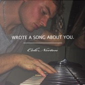 Wrote a Song About You. artwork