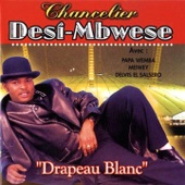 Drapeau Blanc (feat. Papa Wemba & Meiway)