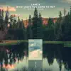 What Have You Done To Me? (feat. Arctic Lake) album lyrics, reviews, download