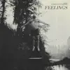 Feelings (Acoustic) [Acoustic] - Single album lyrics, reviews, download