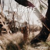 Wildfire - EP