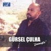 Gürsel Çulha - Sevdiğim