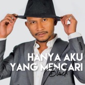 Hanya Aku Yang Mencari artwork