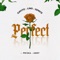 Perfect (feat. Priska & Anny) artwork