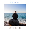 Nit allei - Single