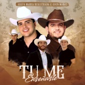 Tu Me Enseñaste artwork