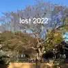 Lost 2022 - Single album lyrics, reviews, download