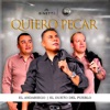 Quiero Pecar - Single