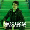 Someone Like You - Single