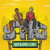 Stig (feat. Flow G.) artwork