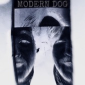 MODERN DOG