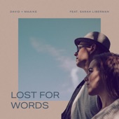 Lost for Words (feat. Sarah Liberman) artwork