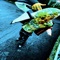 Bow Bow - Sickboyrari lyrics