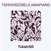 Tshivhidzwela Amapiano - Single