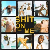 Shit On Me artwork