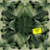 Coconut Crab - Single