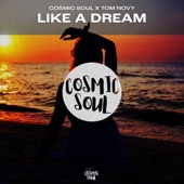 Like A Dream (Radio Edit) artwork