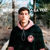 Se me quiebra la voz - Single