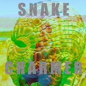 The Mutilations - Snake Charmer