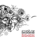 Orgone - The Husk
