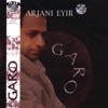 Arjani Eyir (Vol.6)