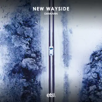 New Wayside - Single by Dankann album reviews, ratings, credits