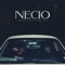 Necio (feat. Bryartz) - Joseph Taics lyrics