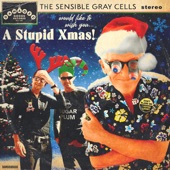The Sensible Gray Cells - A Stupid Xmas