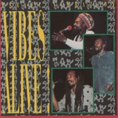 Vibes Alive! (Live in Santa Cruz 1991) artwork