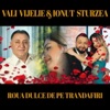 Vali Vijelie - Roua dulce de pe trandafiri (feat. Ionut Sturzea)