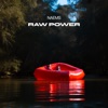 Raw Power - Single