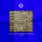 Kwenda - Freakme & Packim lyrics