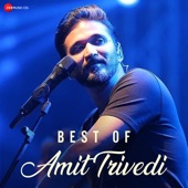 Best of Amit Trivedi artwork