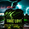 Fake Love - Single